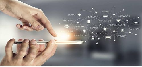 寶尊 數(shù)字化運(yùn)營(yíng)是必然趨勢(shì) 誰將成為未來電商的增長(zhǎng)黑客